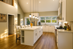 Kitchen 1.png