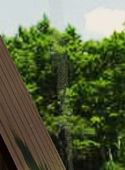 Spike.thumb.PNG.9829802dee1346b006cda11ef4a9895f.PNG