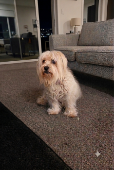 Jimmy-2026.06.03-2 15Y8M .png